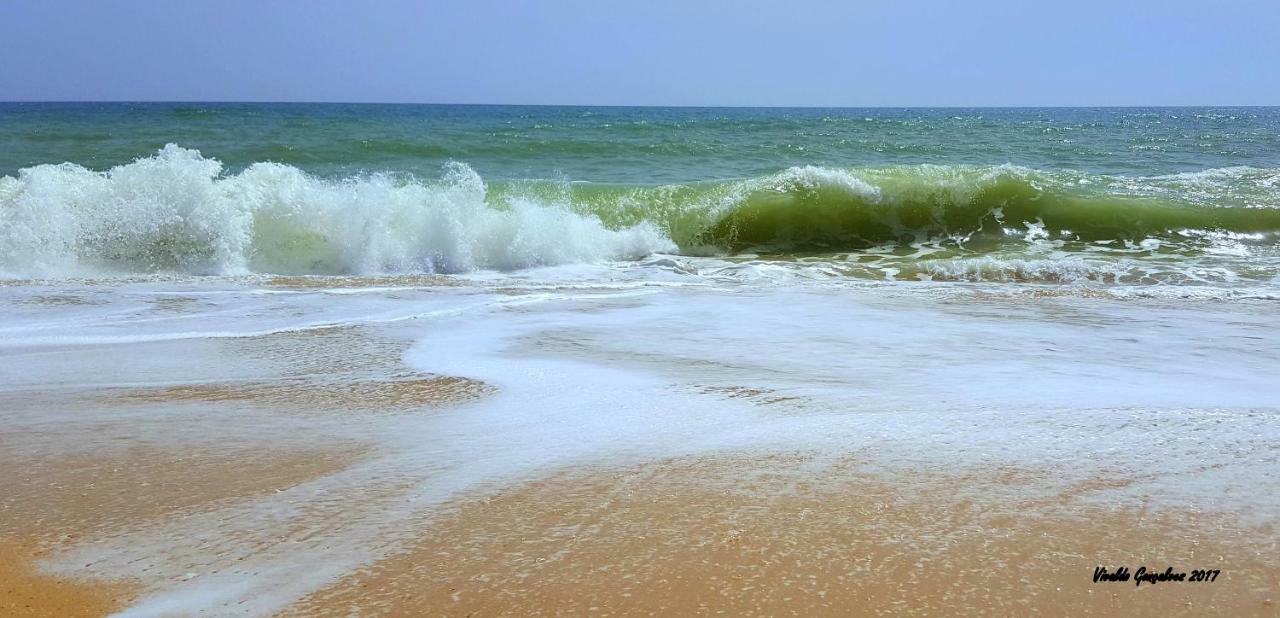 Shinning Waves Apartment Armação de Pêra Dış mekan fotoğraf